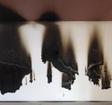 BURNING OF P.I.G.S., 2011 VIDEO PROJECTION, COLOR, SOUND 9’ 33’’