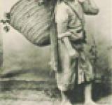 PORTERS LOADING, 2013 IMAGES FOR LIGHT BOXES