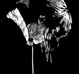 NO DARKNESS WILL MAKE US FORGET, 2011 SHORT MOVIE (ANIMATION), B/W AND COLOR, SOUND 10’