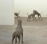 UNDERDOG, 2005FIVE DOGS, MELTING BRONZE DIMENSIONS VARIABLE