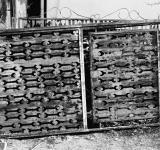 EXEMPLARY PHO¬TOGRAPHS, 2010 (PRINTED 2013) PHOTOGRAPHY, LAMBDA C-TYPE PRINT FROM SCANNED NEGATIVE49 X 36 CM