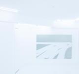 UNTITLED (SLIGHTLY MOVED AWAY), 2013 OIL ON CANVAS  220 X 150 CM