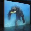 Central Exhibition "Everywhere but Now" Sheba Chhachhi / The Water Diviner, 2008 Macedonian Museum of Contemporary Art