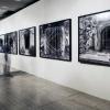 Κεντρική Έκθεση "Παντού αλλά Τώρα" Los Carpinteros / Τα Τούνελς του Λαού, 1999 Περίπτερο 6, Φωτο: Ελευθερία Καλπενίδου