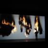 Central Exhibition "Everywhere but Now" Claire Fontaine, Burning of P.I.G.S., 2012 Pavillion 6